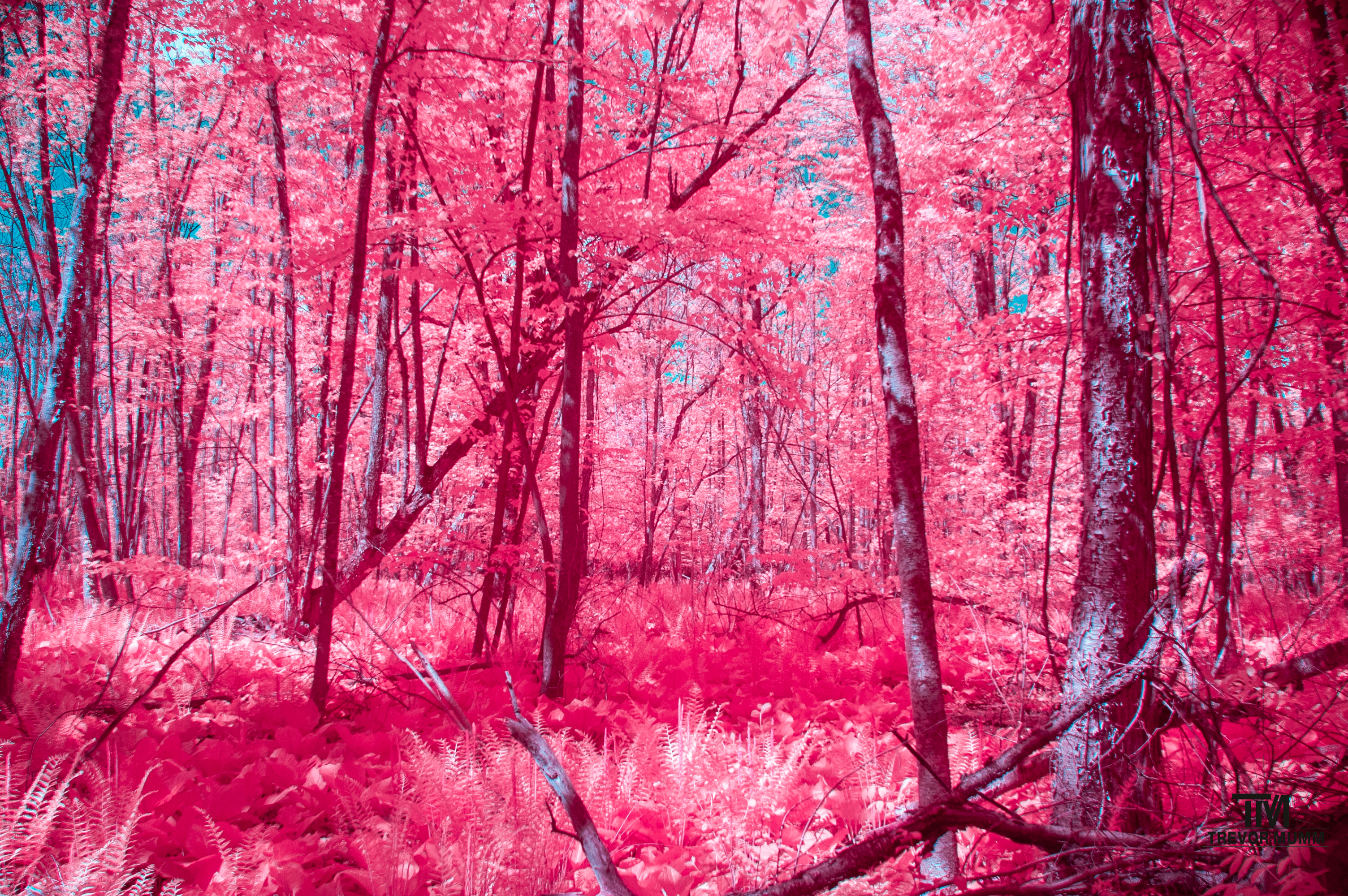 Putnam Park | Eau Claire, WI