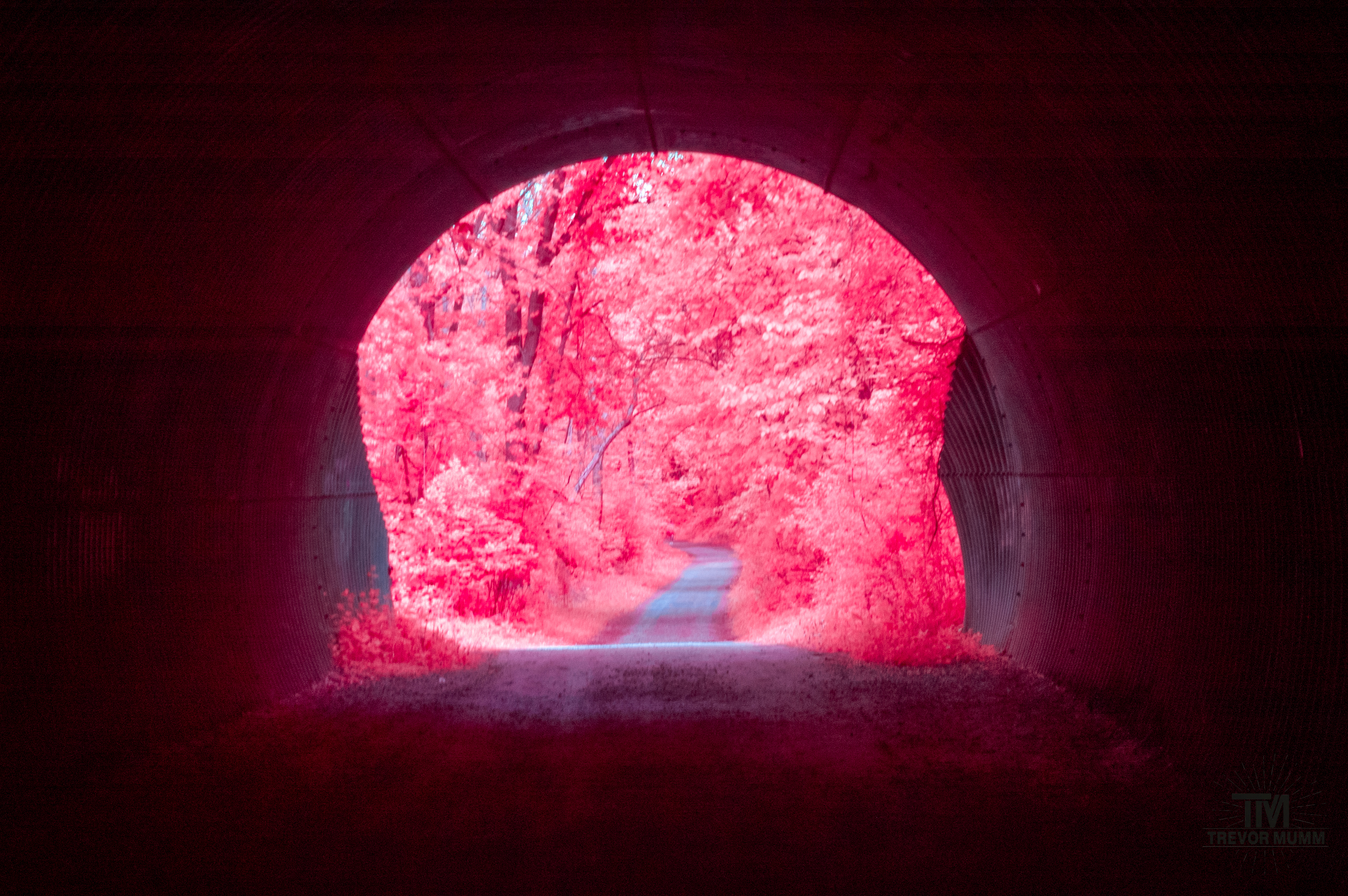 Putnam Park | Eau Claire, WI