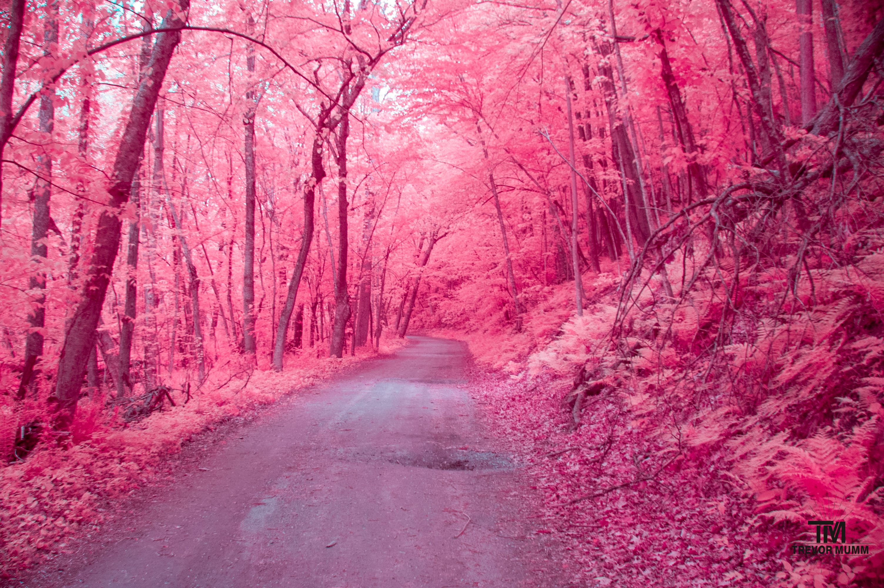 Putnam Park | Eau Claire, WI