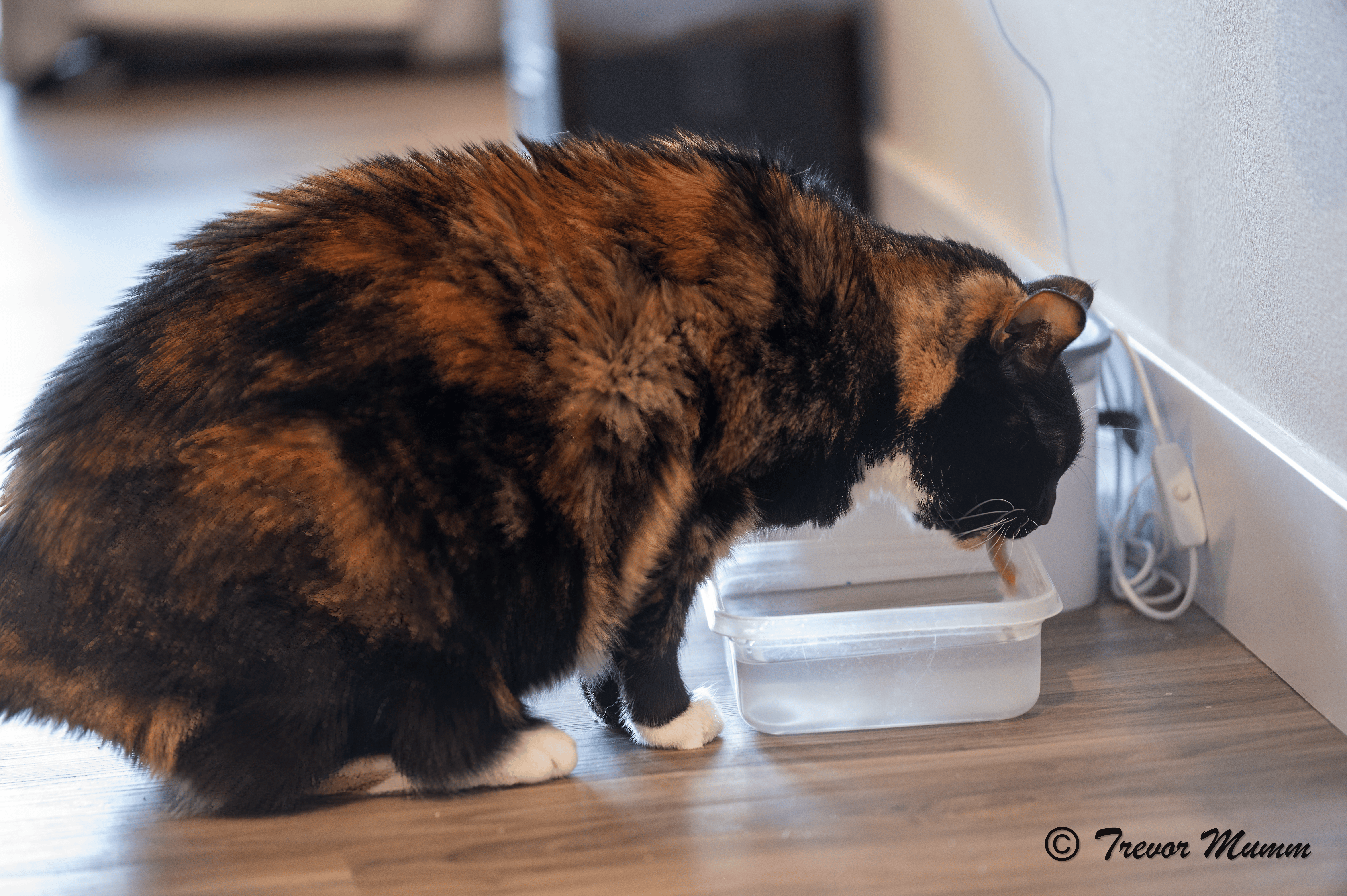 Raea Drinking Some Water