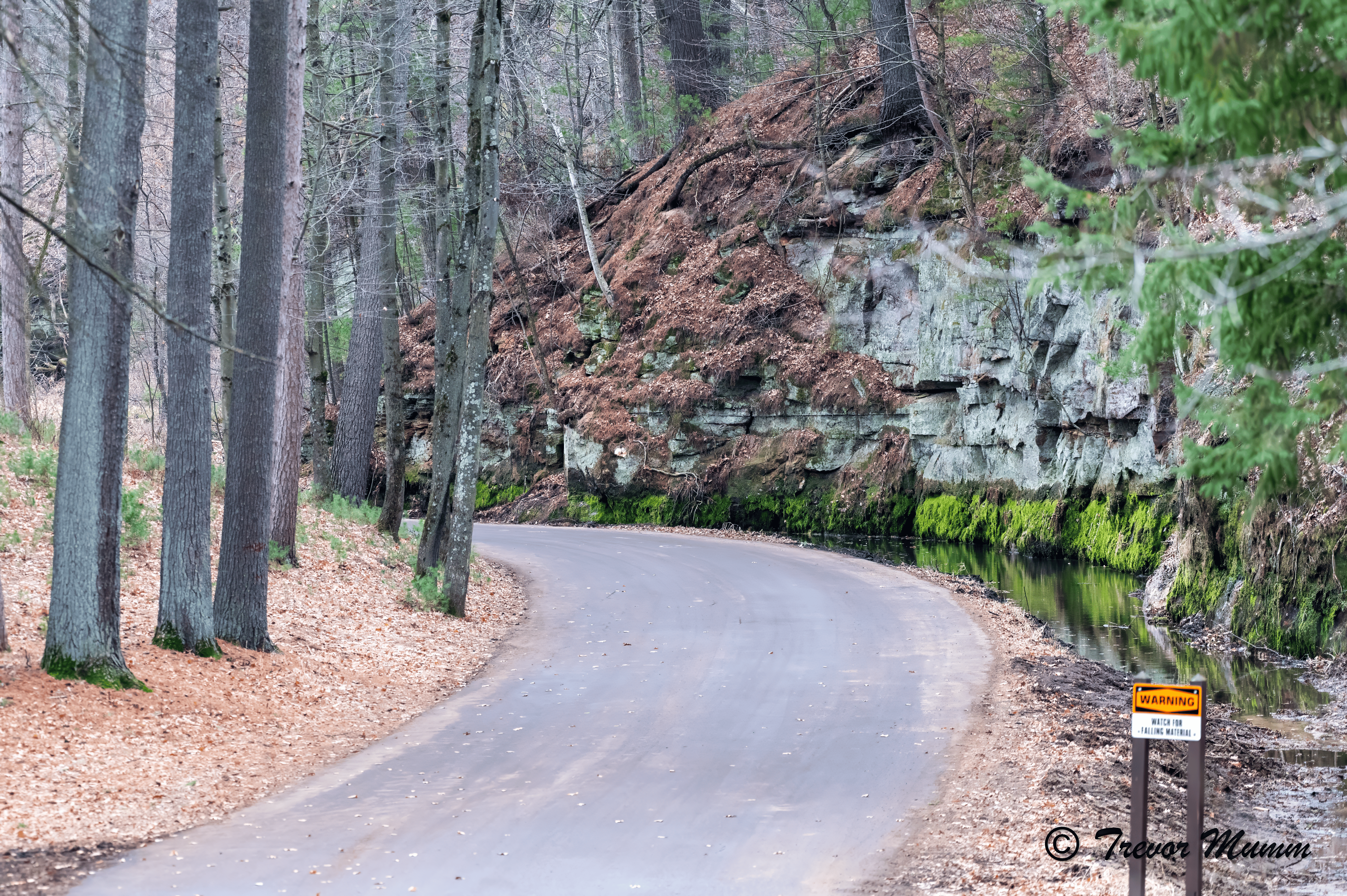 Bluff Road | Irvine Park