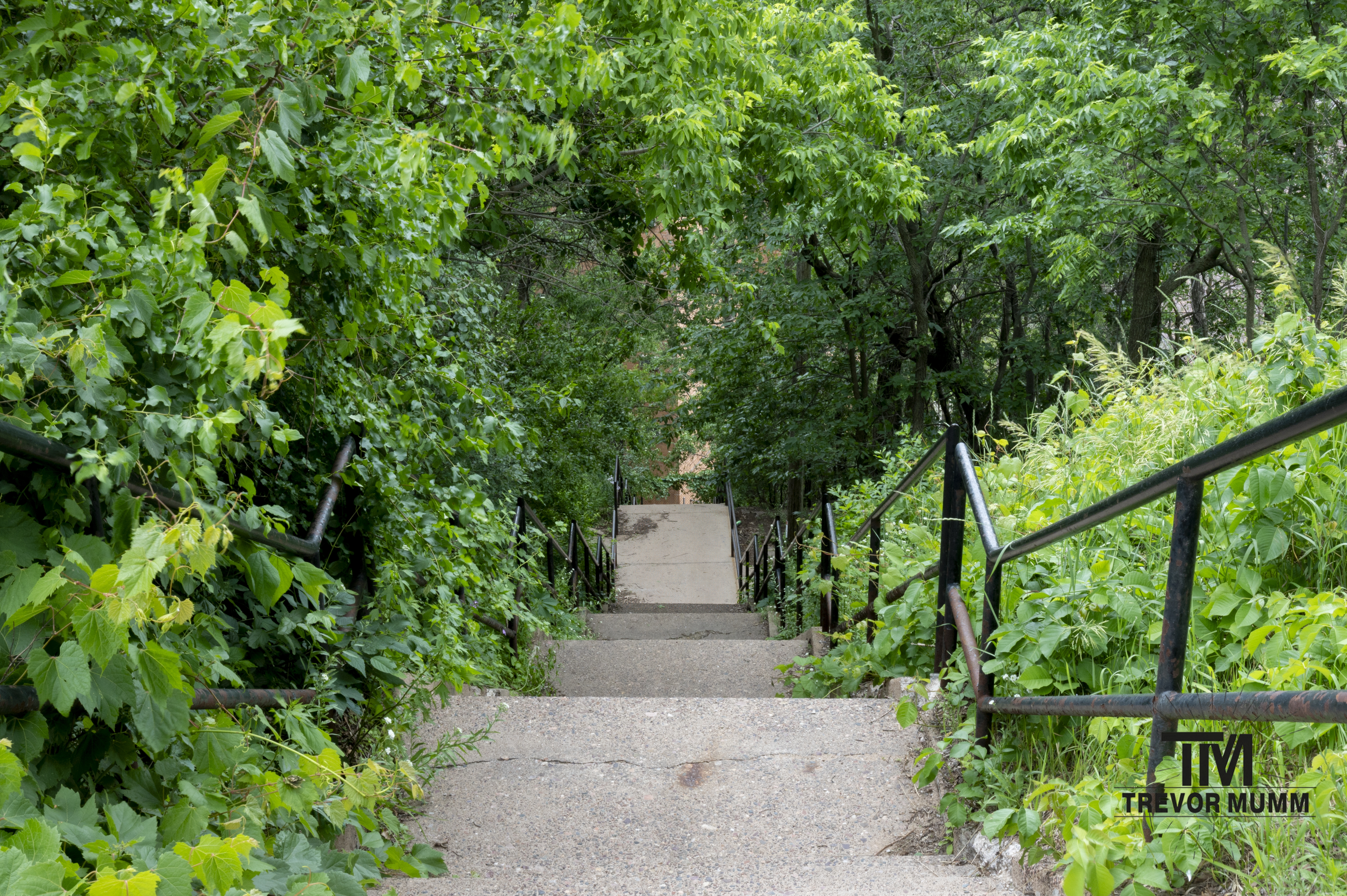 Staircase in Eau Claire WI