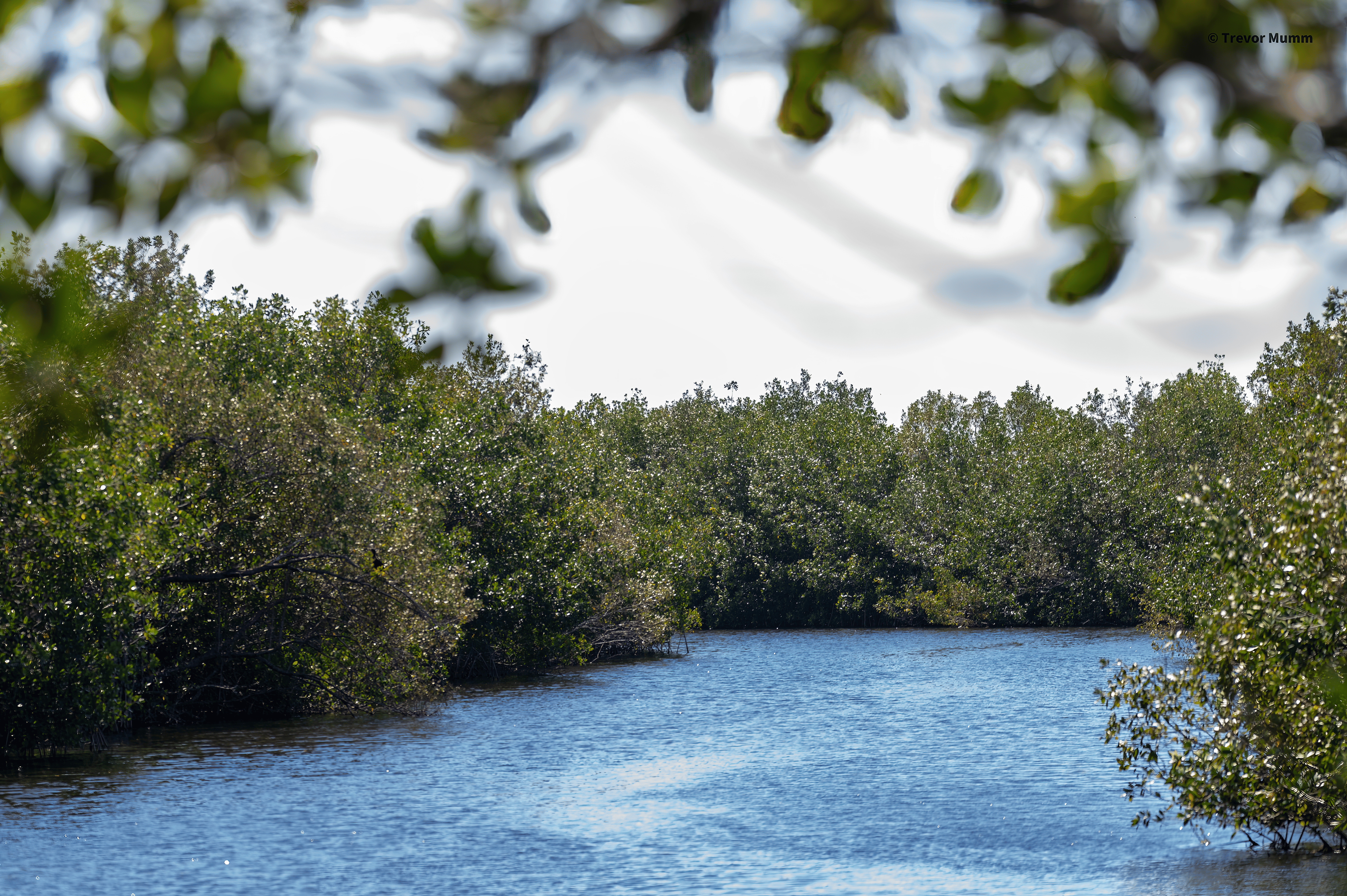 Visitors Center | Everglades