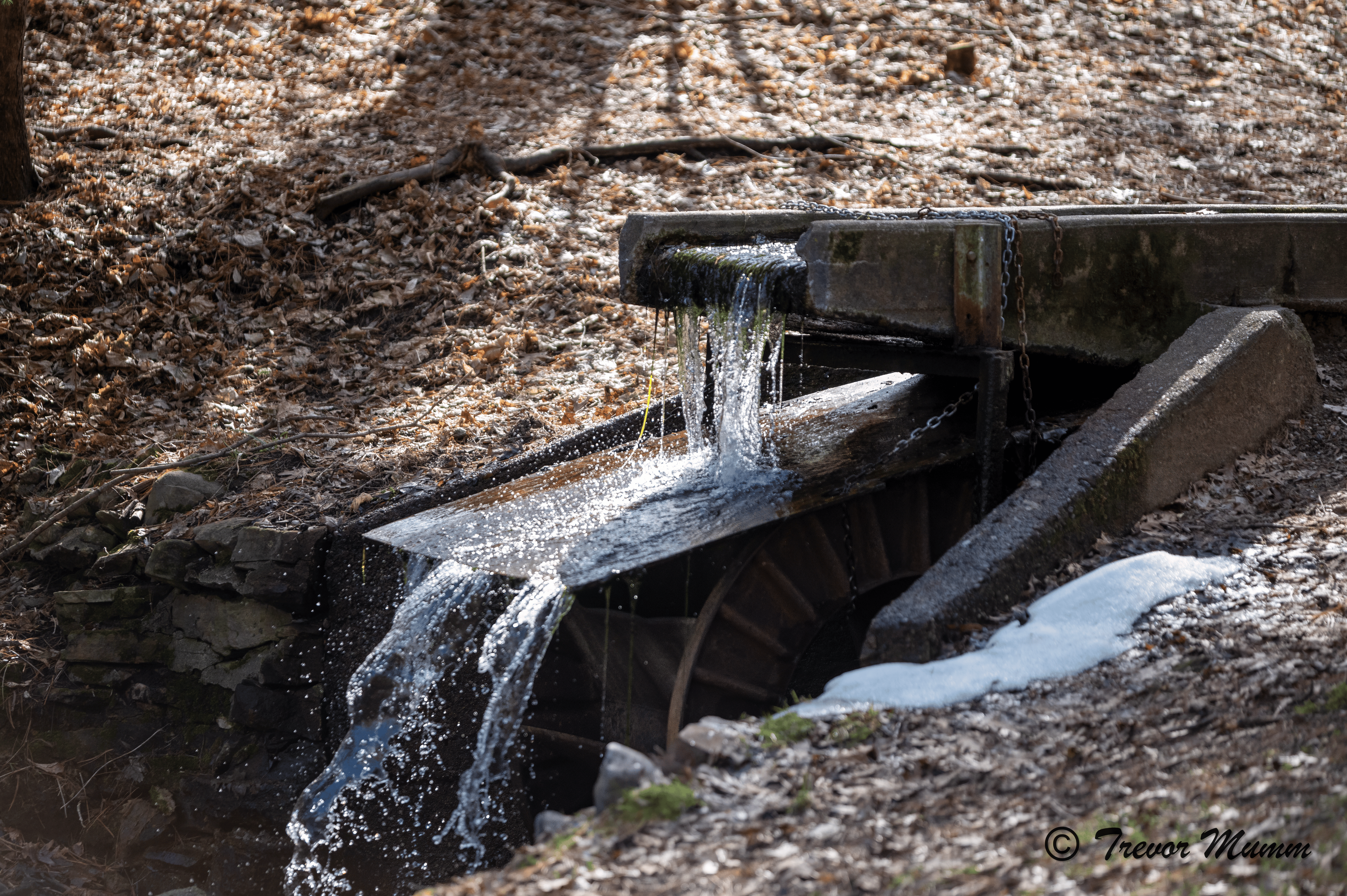 Water Wheel | Gun & Rod